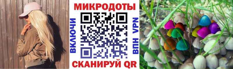 Галлюциногенные грибы Psilocybe  Чернушка 
